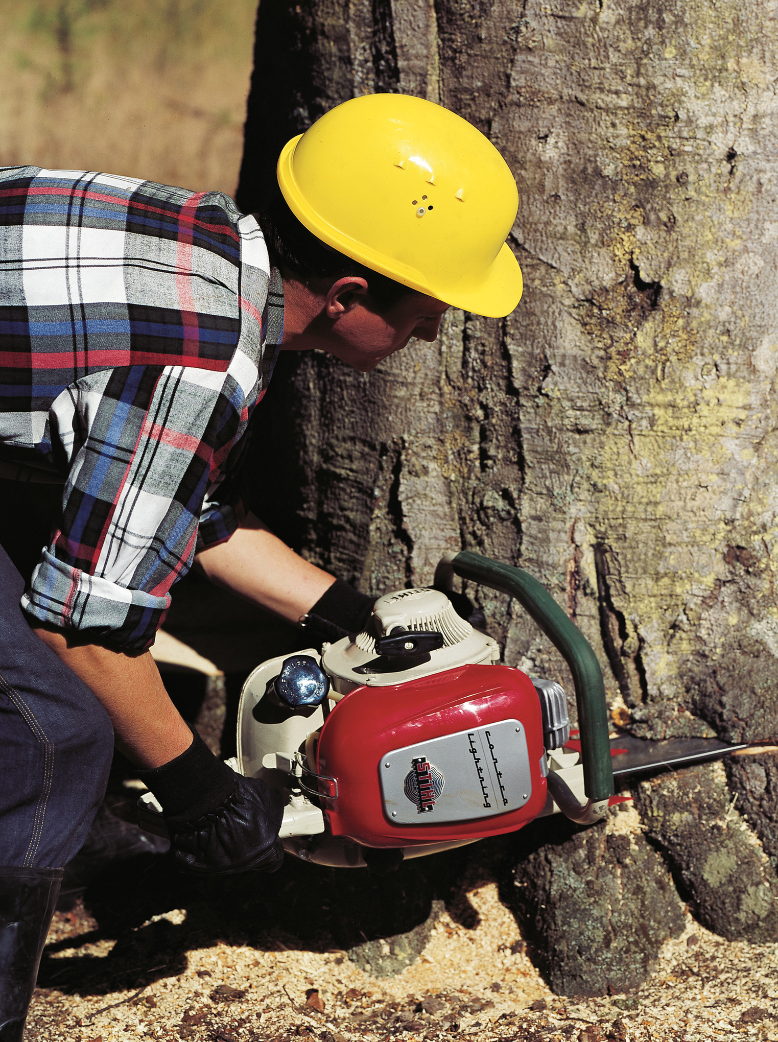 Legendary STIHL chainsaw celebrates its 60th birthday