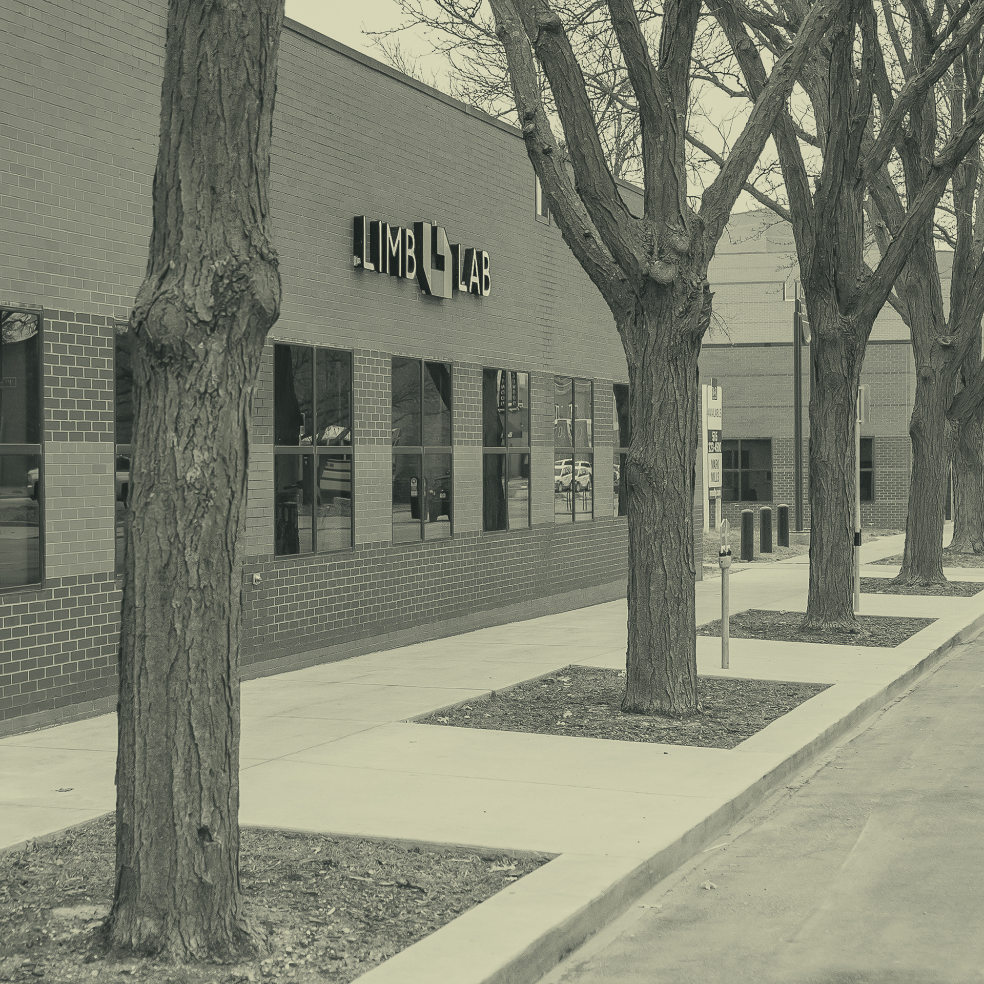 Limb Lab Prosthetic & Orthotic Care