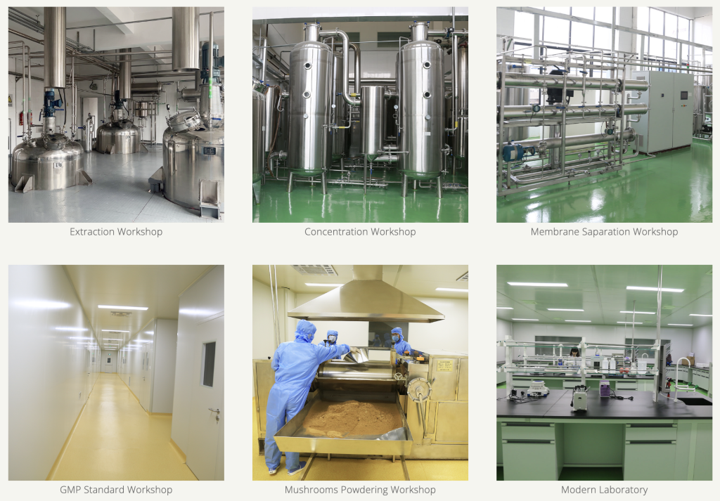 Lion'S Mane Mushroom Bulk industry insight