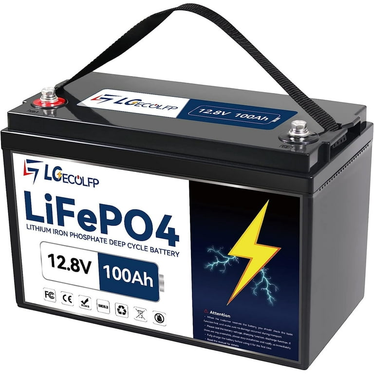 Lithium Iron Phosphate LiFePO4 Battery