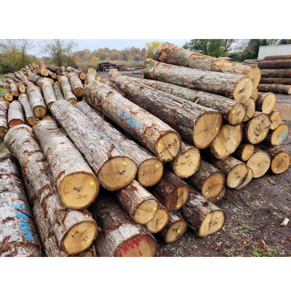 Log Sales