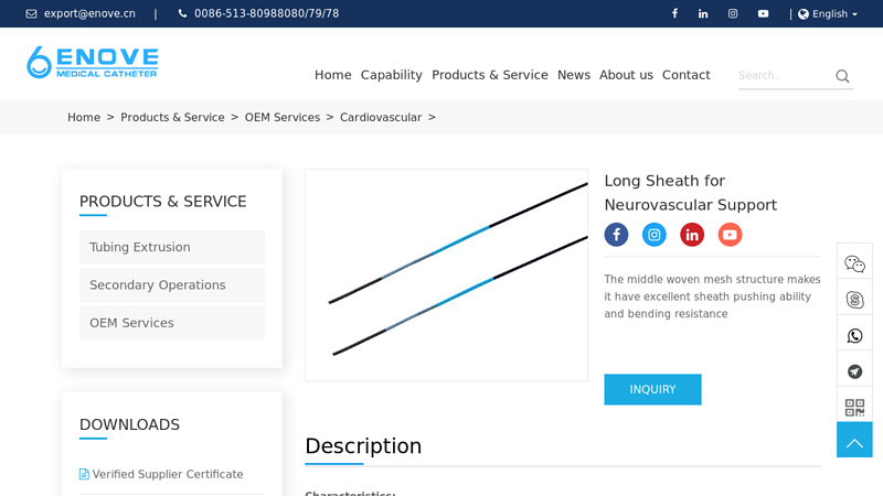 Long Sheath for Neurovascular Support