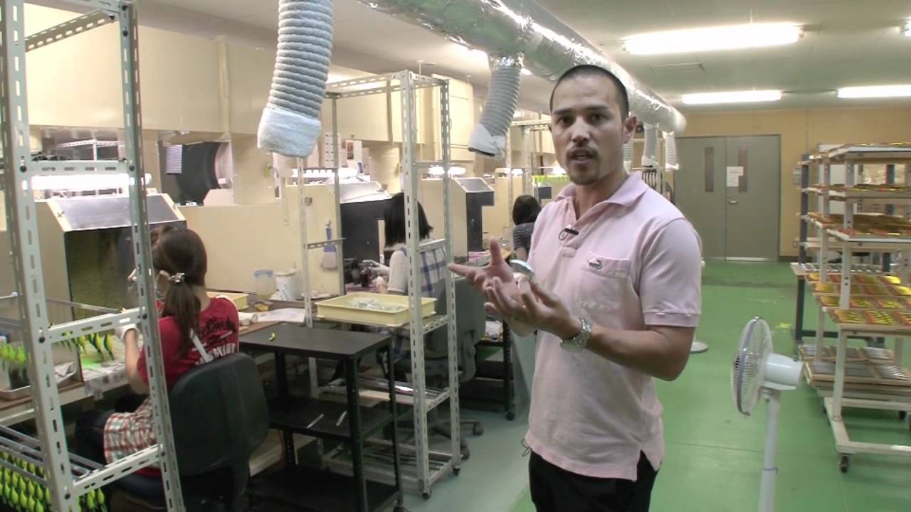 Lures Bulk industry insight