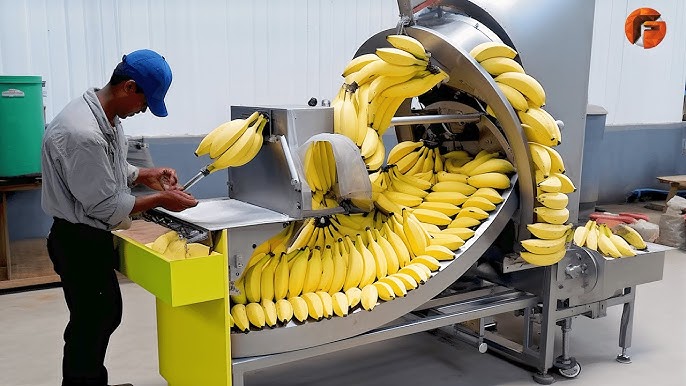 Machinery industry insight