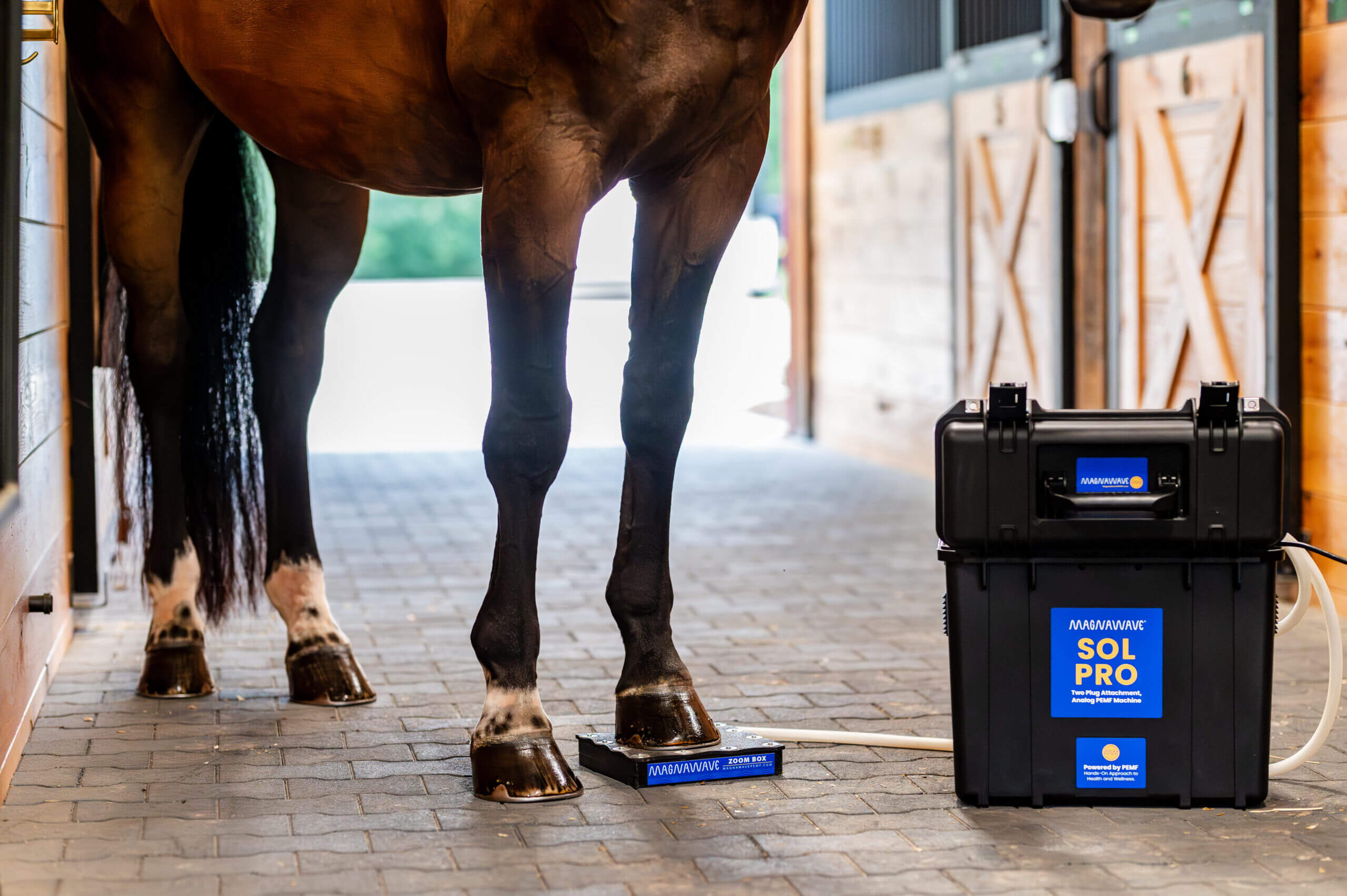 Magnawave: Experience the Power of PEMF