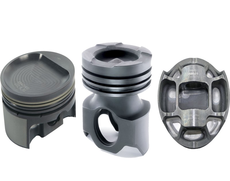 MAHLE Motorsport In The Pole Position