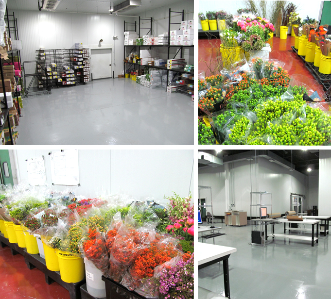 Main Wholesale Flowers industry insight