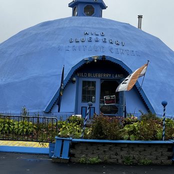 Maine Wild Blueberries, The Best there Is