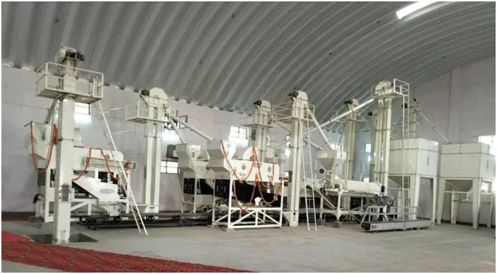 Maize Seed industry insight