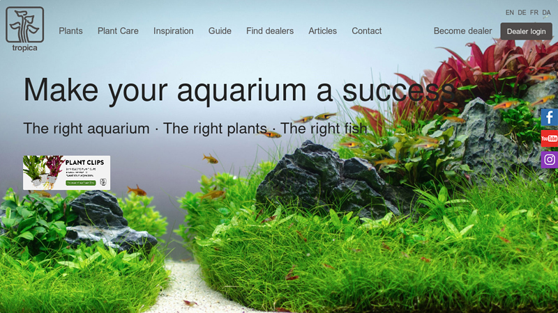 Make your aquarium a success