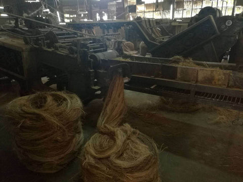 Manila Fiber industry insight