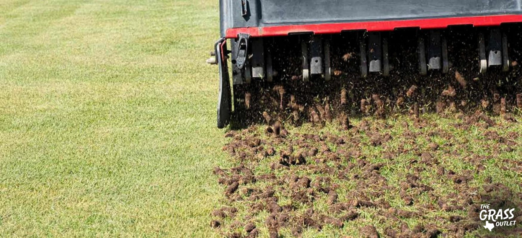 Manual Lawn Aeration Tool industry insight