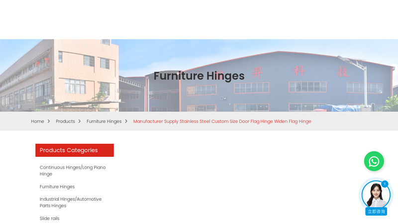 Manufacturer Supply Stainless Steel Custom Size Door Flag Hinge ...