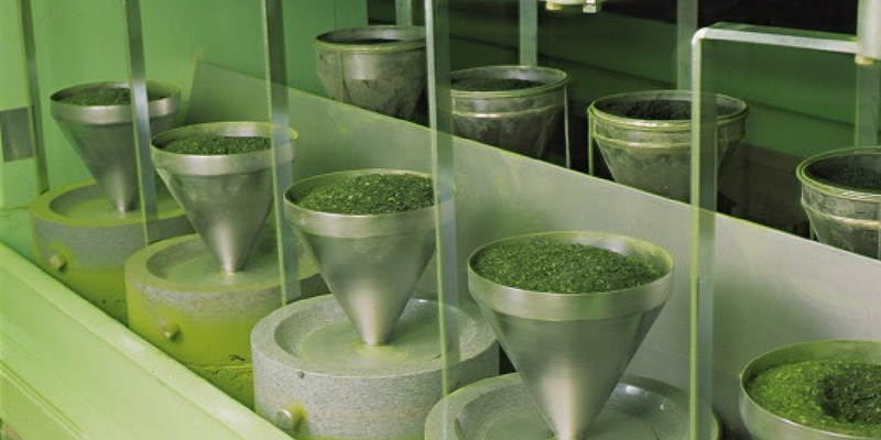 Matcha Tea Bulk industry insight