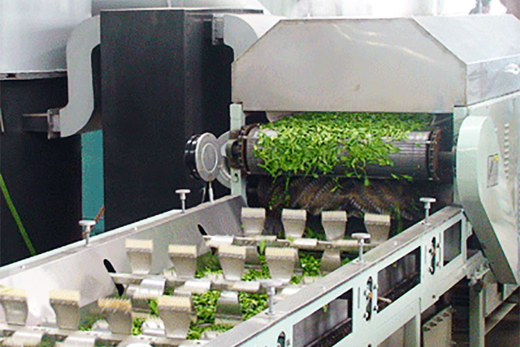 Matcha Wholesale industry insight
