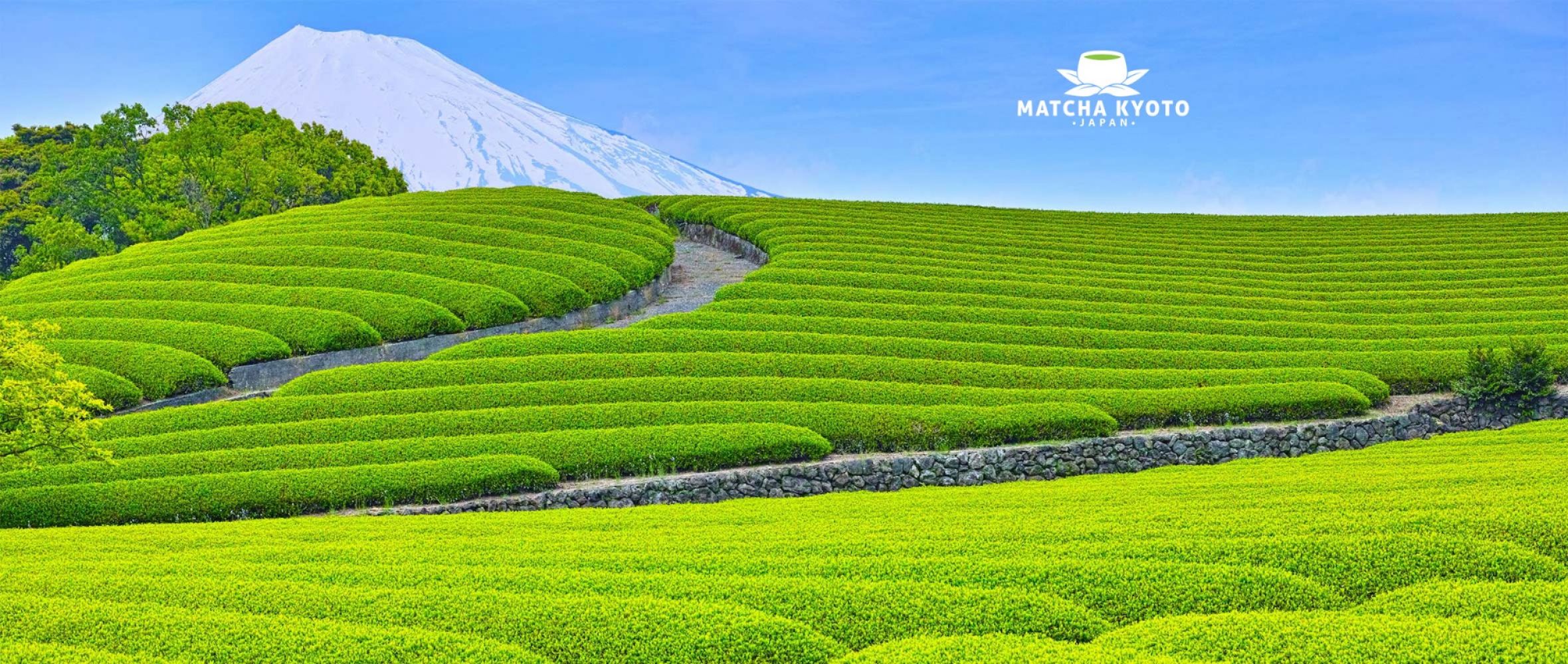 MatchaKyoto.com
