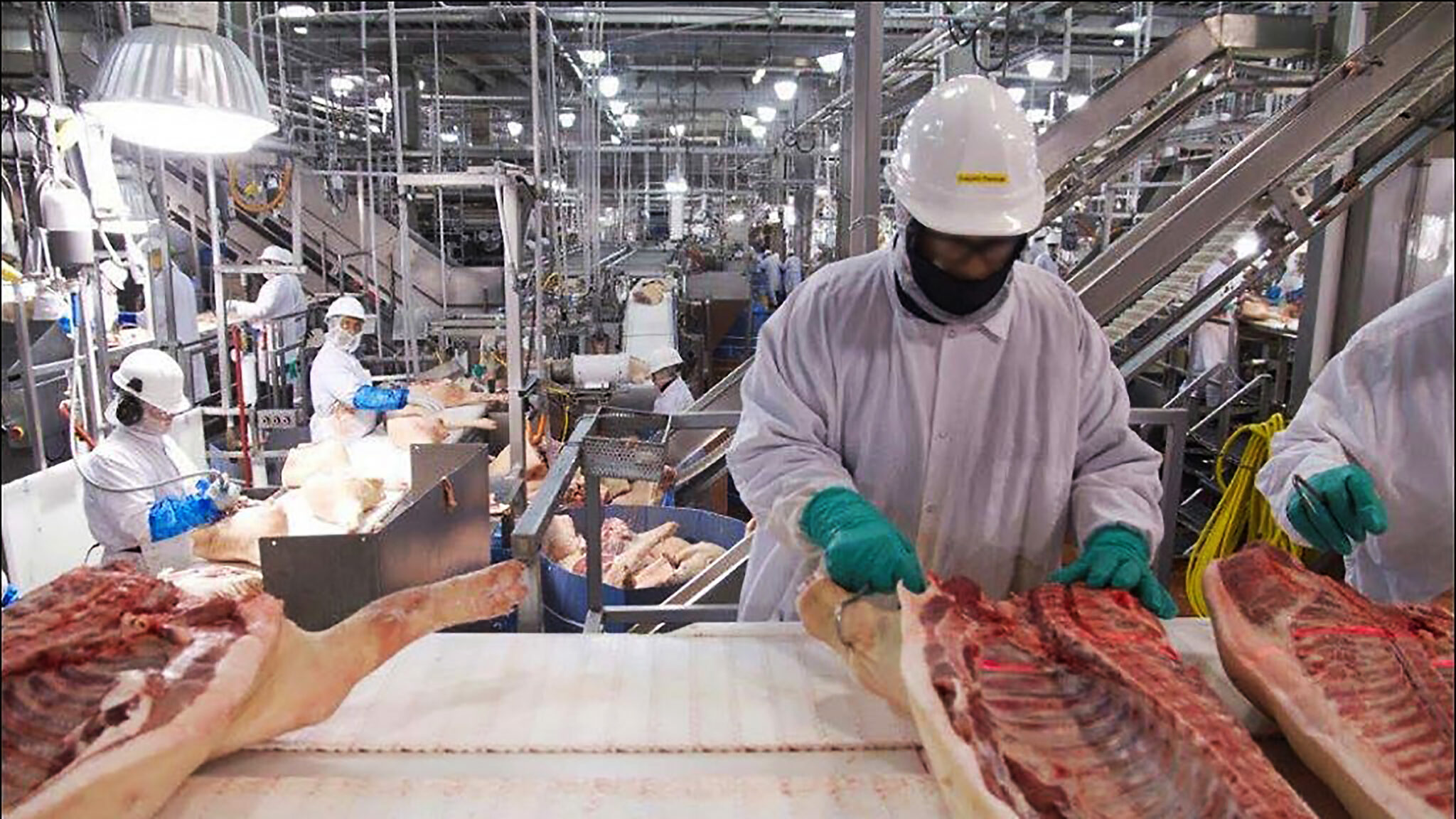 Meat Distribution Companies industry insight