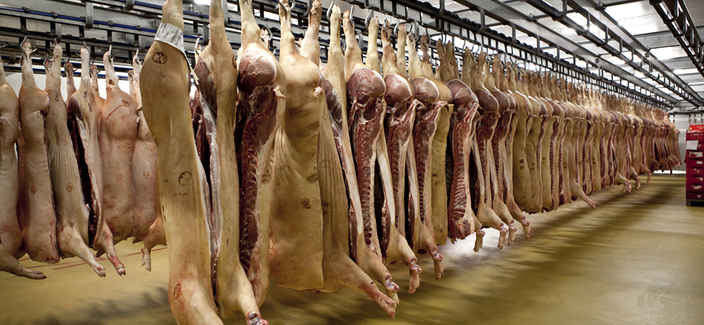 Meat industry insight