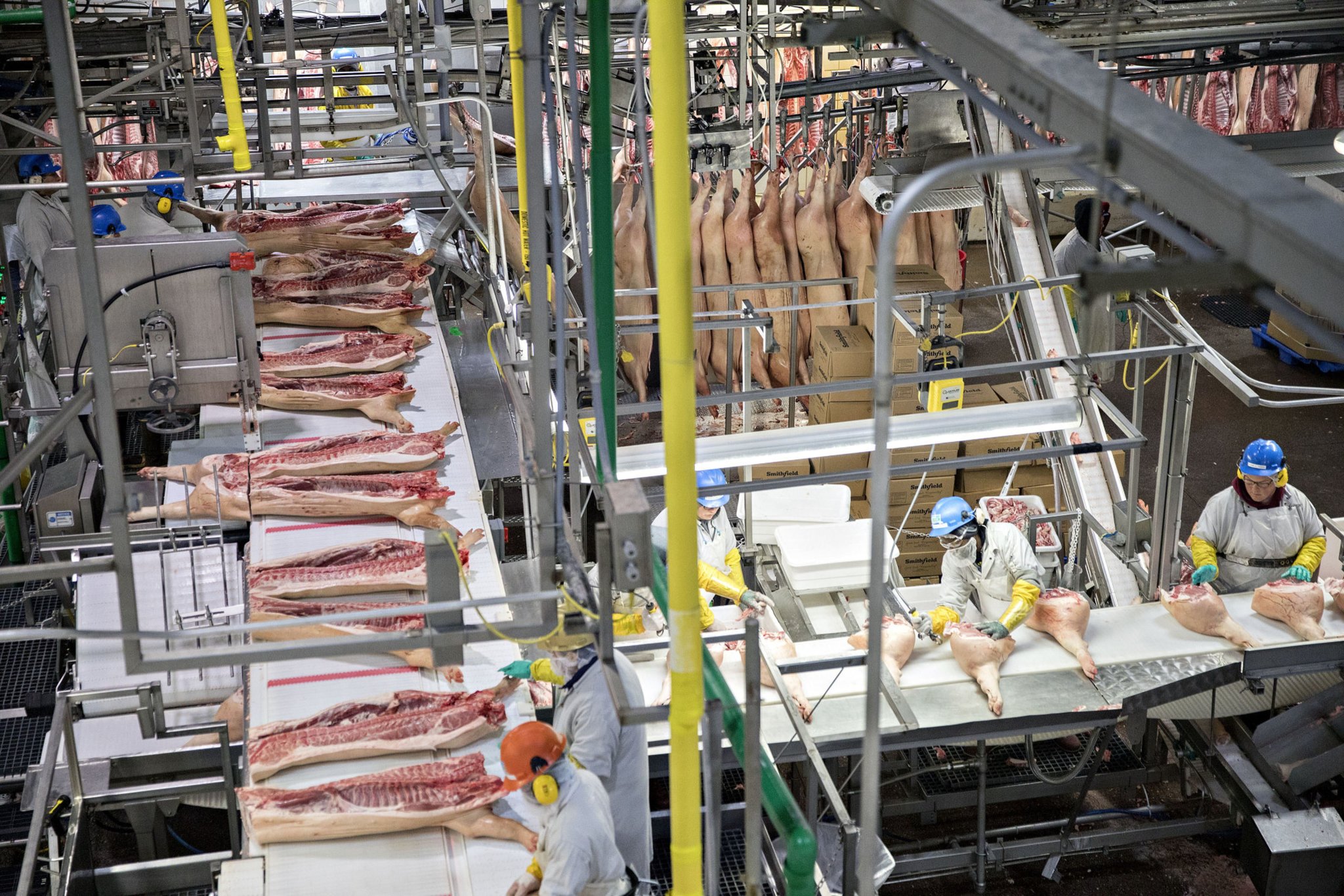 Meat industry insight