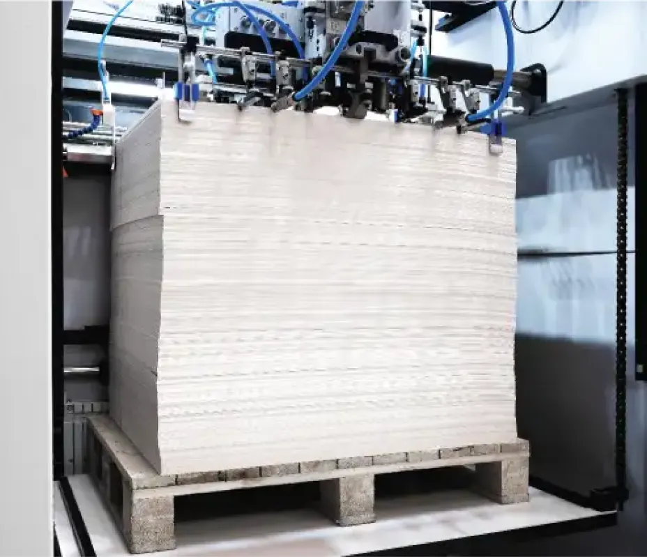 Methyl Oleate industry insight