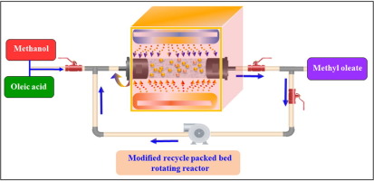 Methyl Oleate industry insight