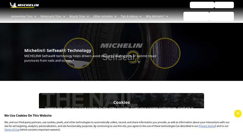 Michelin SelfSeal Technology