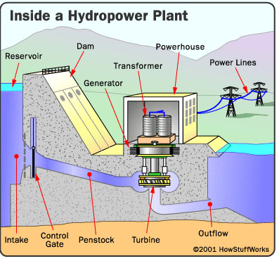 Micro Hydroelectric Power Generator industry insight