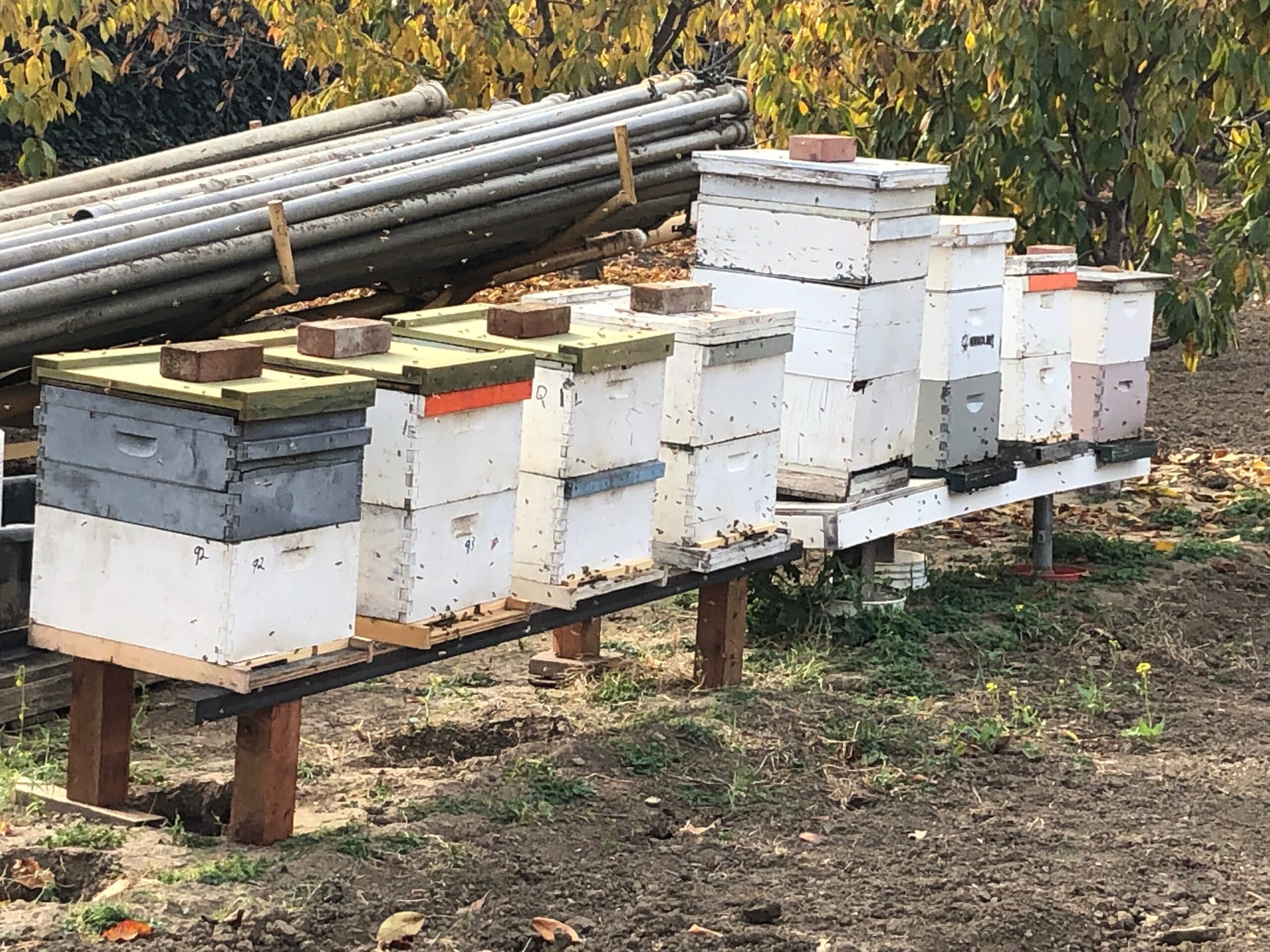 Mike & Niki's Honey Company