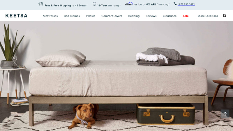 Modern Bed Frames, Minimalist Metal, Steel