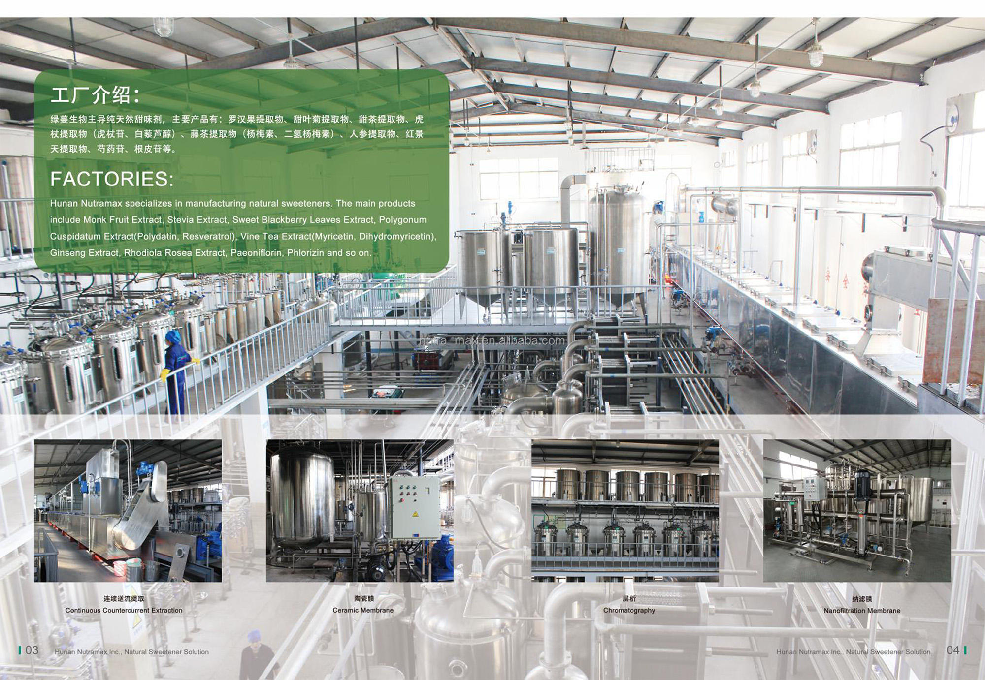 Monk Fruit Juice Concentrate industry insight