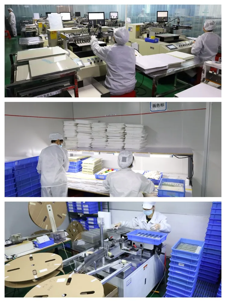 Monochrome Display Monitor industry insight