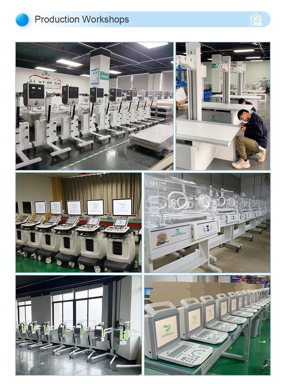 Morgue Fridge industry insight