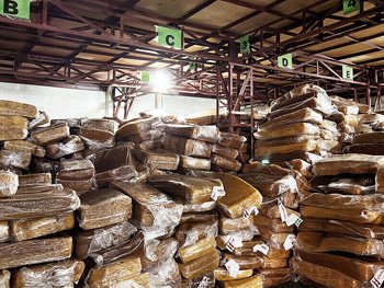 Mousepad Companies industry insight