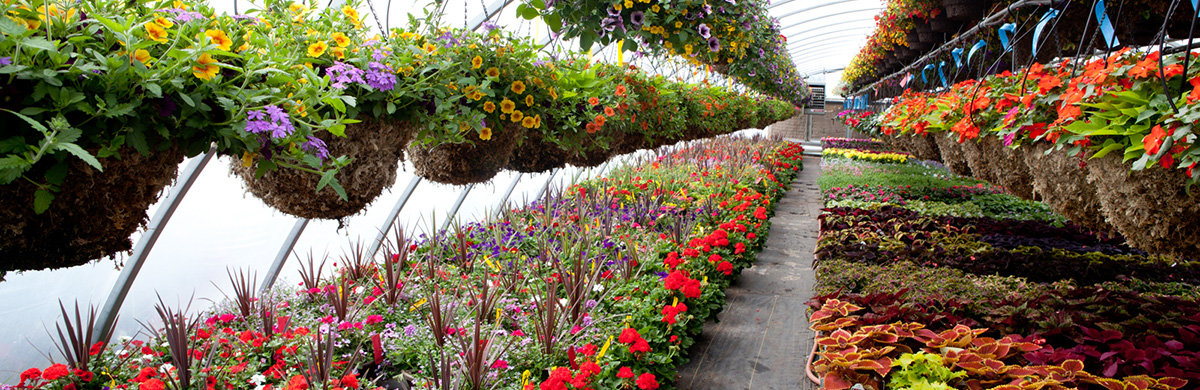 National Nursery Products