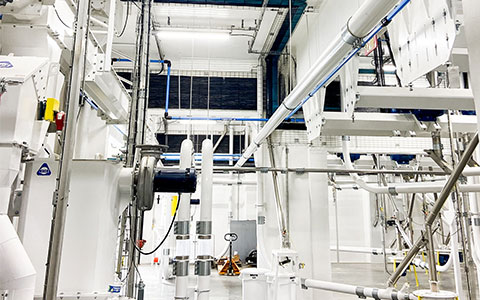 Neca Wholesale industry insight