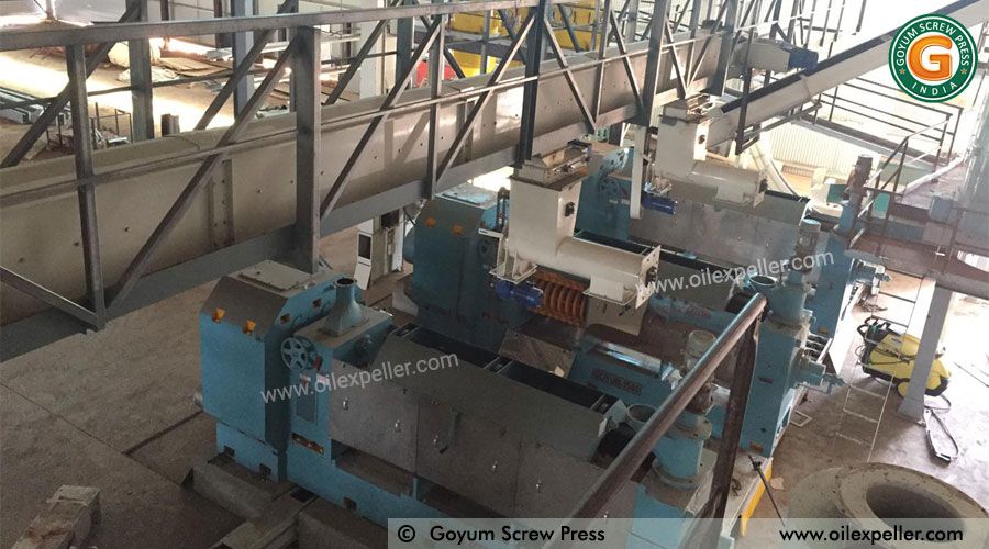 Neem Oil Essential Oil industry insight