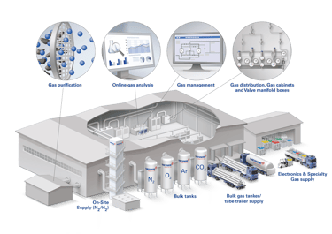 Neon Producing Companies industry insight