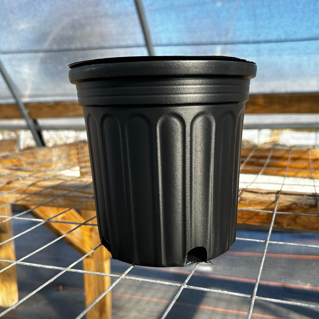 Nursery Pots In Bulk industry insight