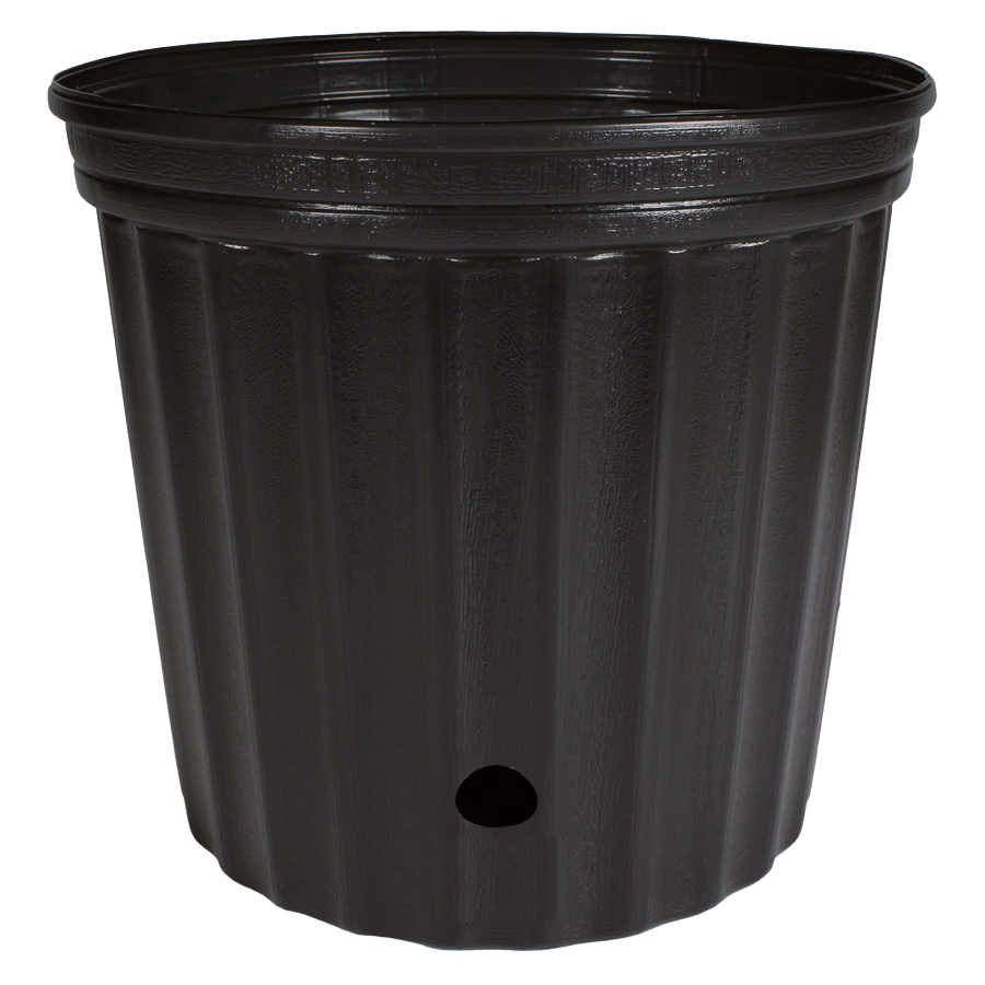 Nursery Trays, Flats, Containers