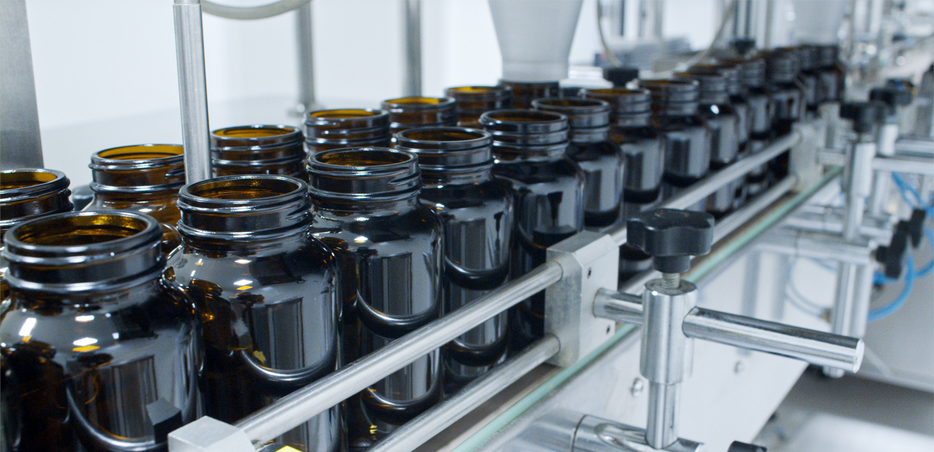 Nutritional Supplements industry insight