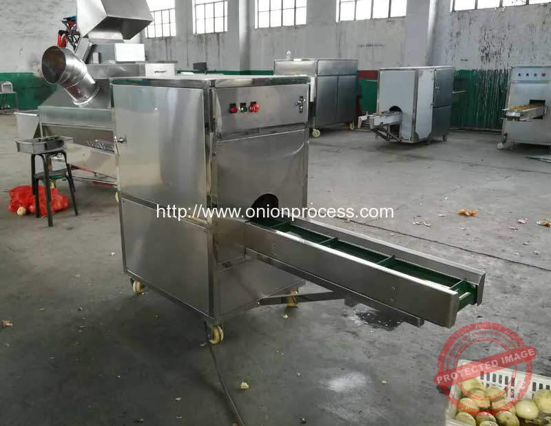 Onion Ring Slicer industry insight