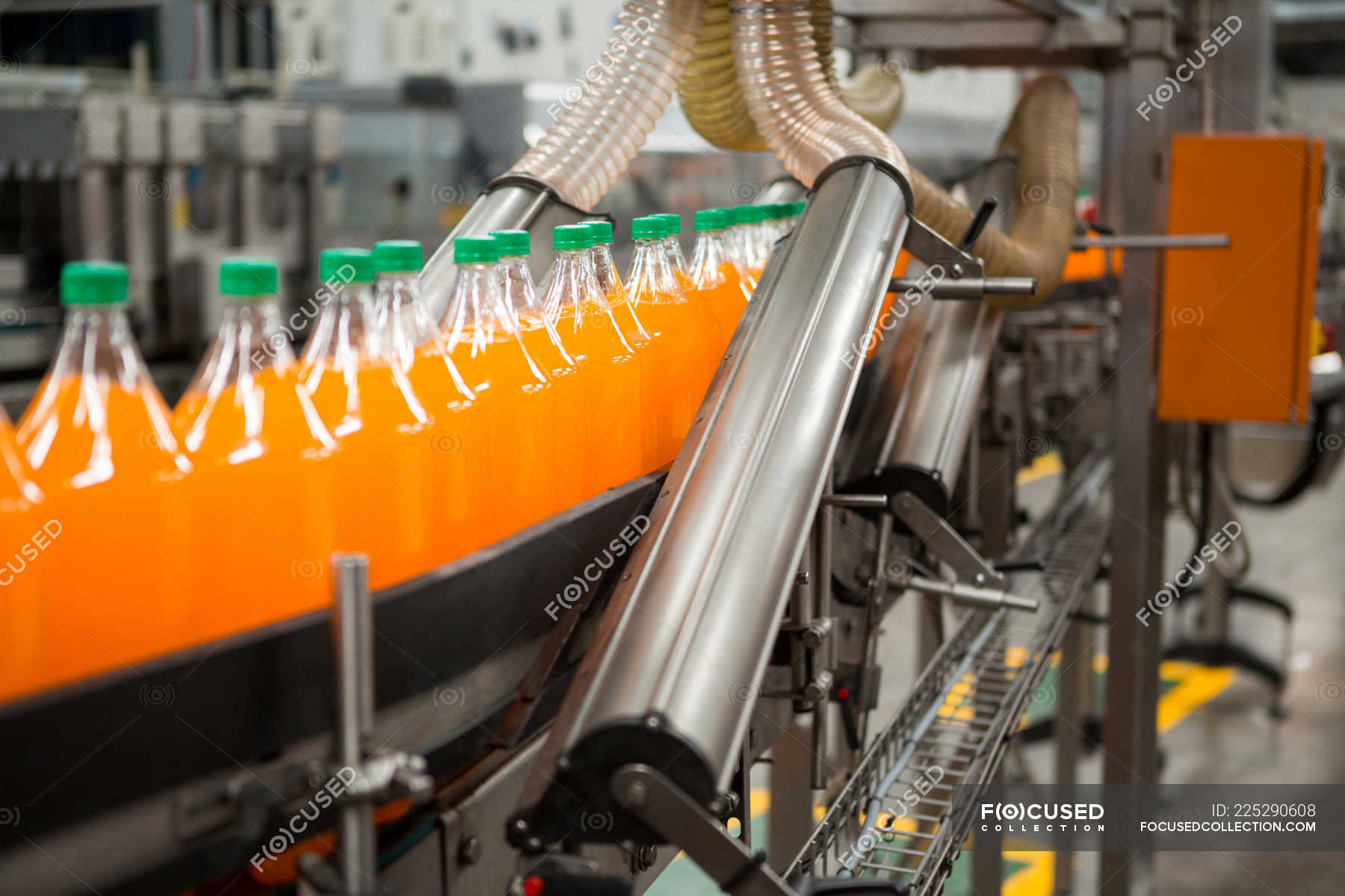 Orange Packaging industry insight