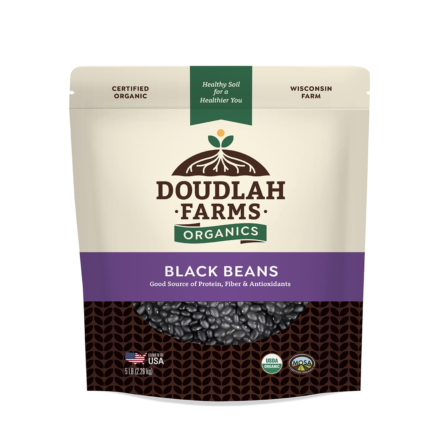 Organic Black Beans Bulk industry insight