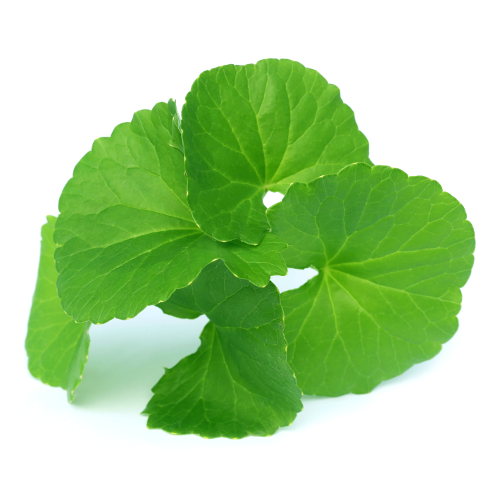 Organic Centella asiatica Extract