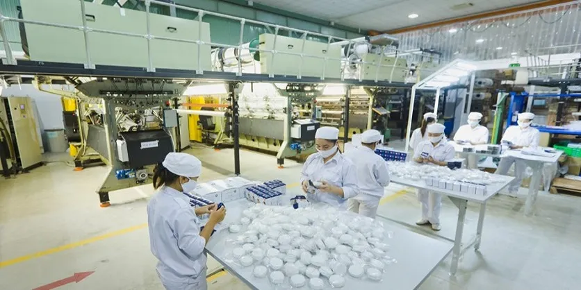 Organic Cotton Fabric Wholesale industry insight