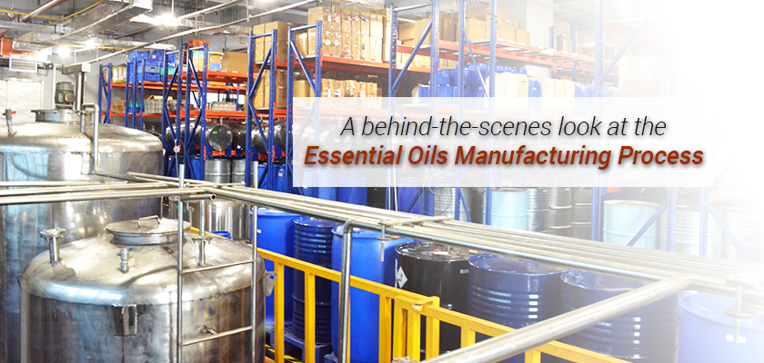 Organic Essential Oils Wholesale industry insight