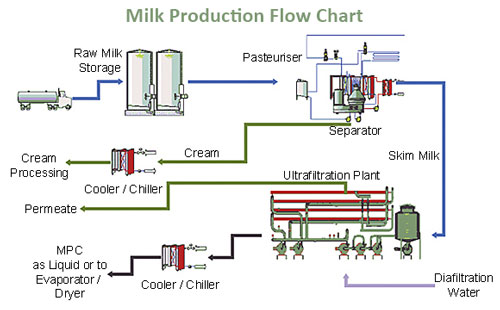 Organic Milk industry insight