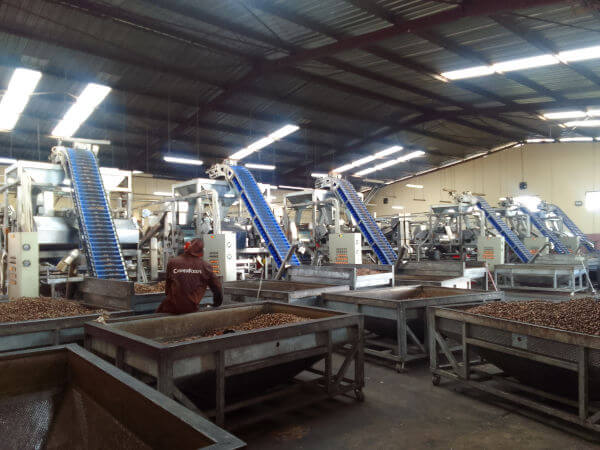 Organic Nuts Bulk industry insight