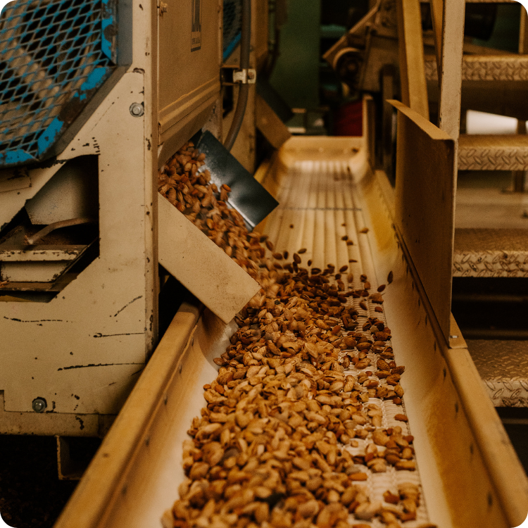 Organic Nuts Bulk industry insight