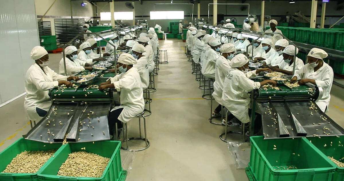 Organic Nuts Bulk industry insight